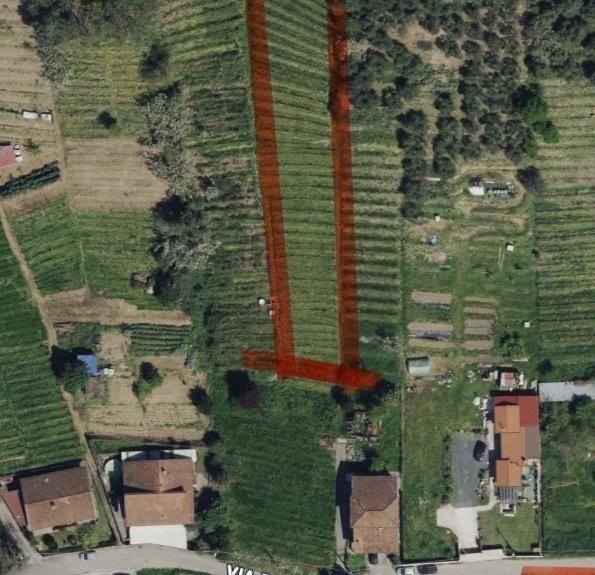 terreno agricolo in vendita a Massa in zona Romagnano