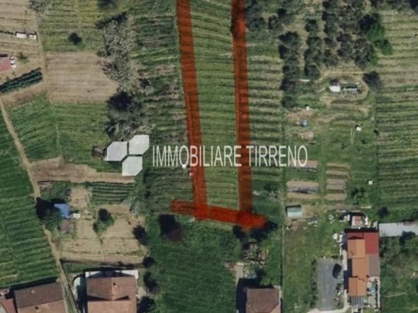 terreno agricolo in vendita a Massa in zona Romagnano