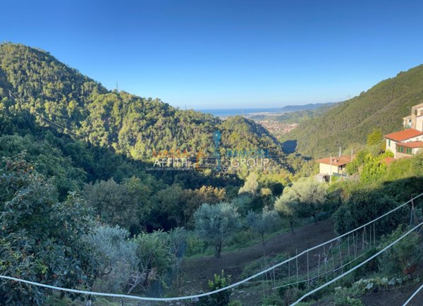 immagine annuncio 0 di 15