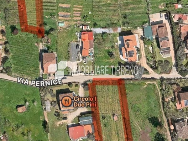 terreno agricolo in vendita a Massa in zona Romagnano