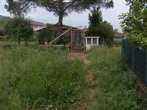 terreno agricolo in vendita a Massa in zona Centro Storico