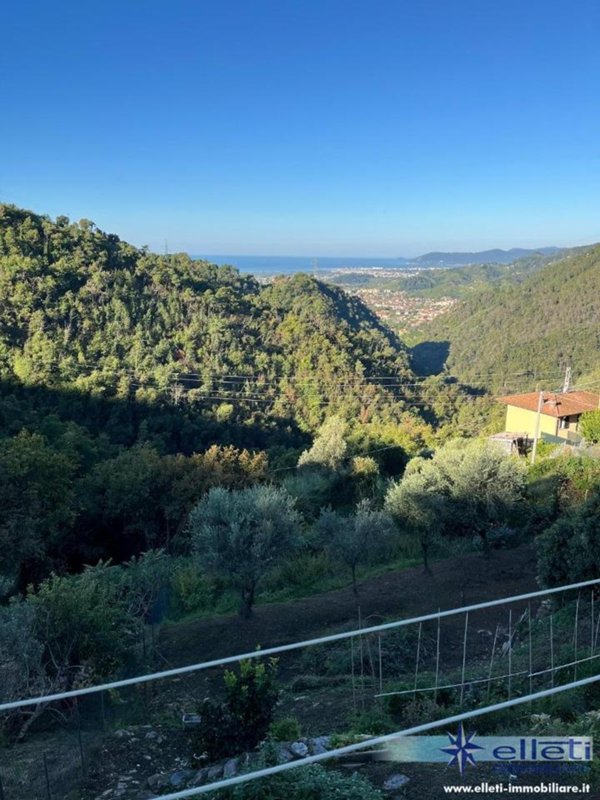 immagine annuncio 0 di 15