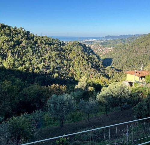 casa indipendente in vendita a Massa in zona Pariana