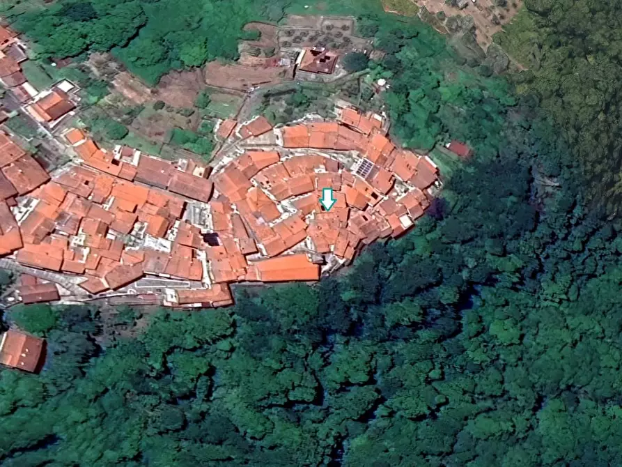 appartamento in vendita a Massa in zona Pariana