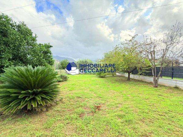 casa indipendente in vendita a Massa in zona Centro Storico