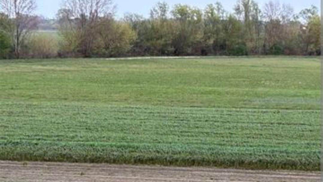 terreno agricolo in vendita a Massa in zona Centro Storico