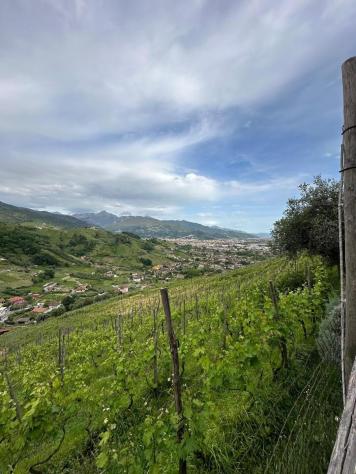 casa indipendente in vendita a Massa in zona Mirteto
