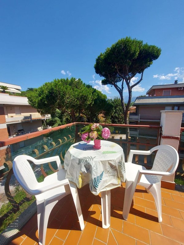 appartamento in vendita a Massa in zona Marina dei Ronchi