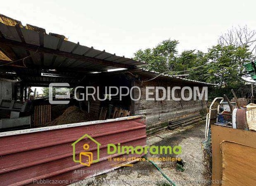 appartamento in vendita a Massa in zona Quercioli