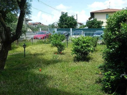 esavano in vendita a Massa