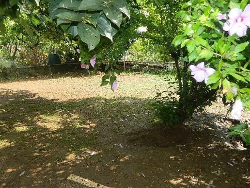 appartamento in vendita a Massa in zona Centro Storico