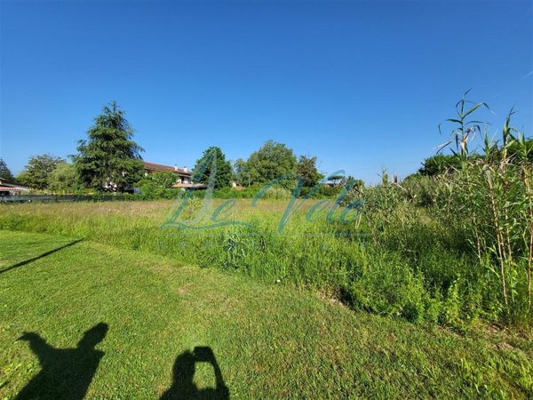 terreno agricolo in vendita a Massa in zona Marina dei Ronchi