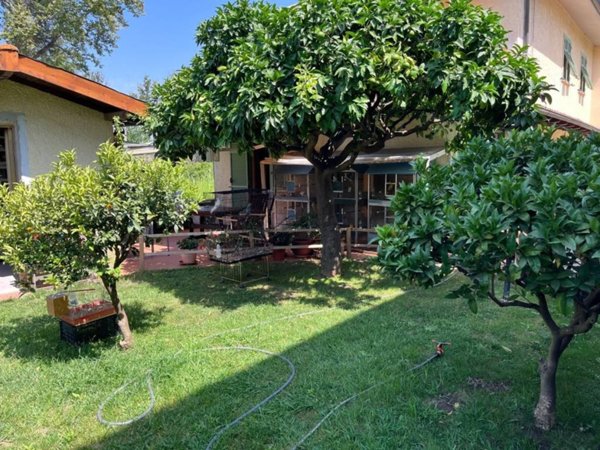 casa indipendente in vendita a Massa in zona Marina di Massa
