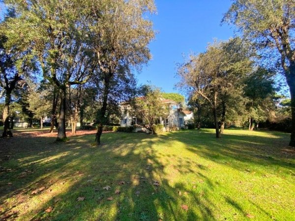 casa indipendente in vendita a Massa in zona Poveromo