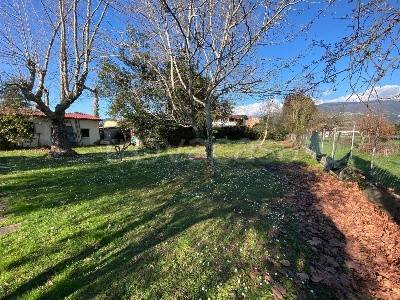 casa indipendente in vendita a Massa in zona Marina dei Ronchi