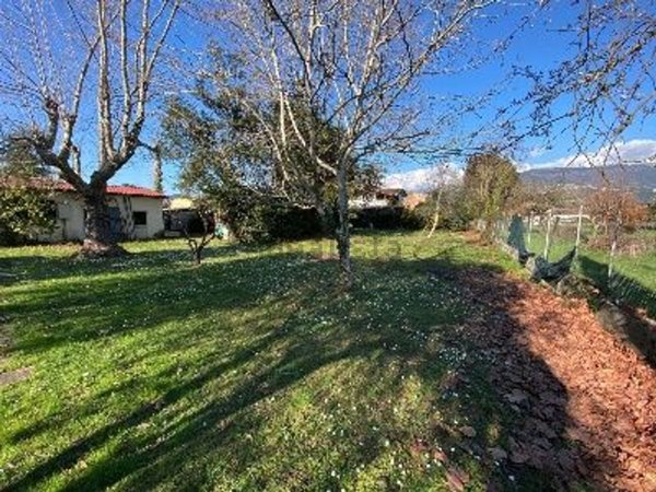 casa indipendente in vendita a Massa in zona Marina dei Ronchi