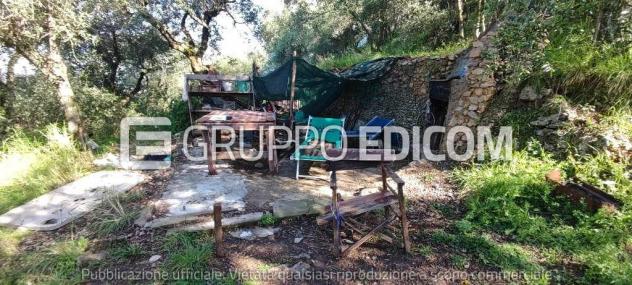 terreno agricolo in vendita a Massa