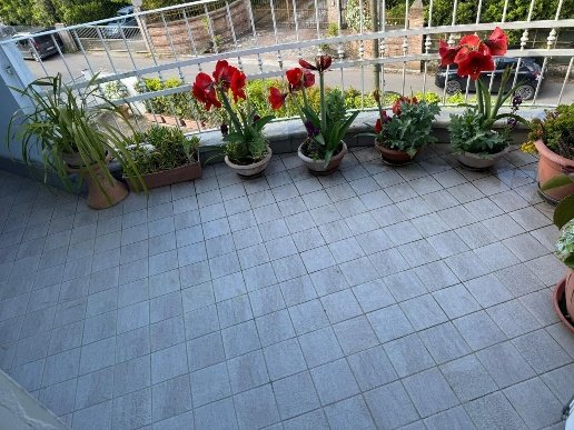 appartamento in vendita a Massa in zona Poveromo