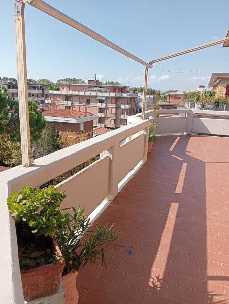 appartamento in vendita a Massa in zona Marina dei Ronchi