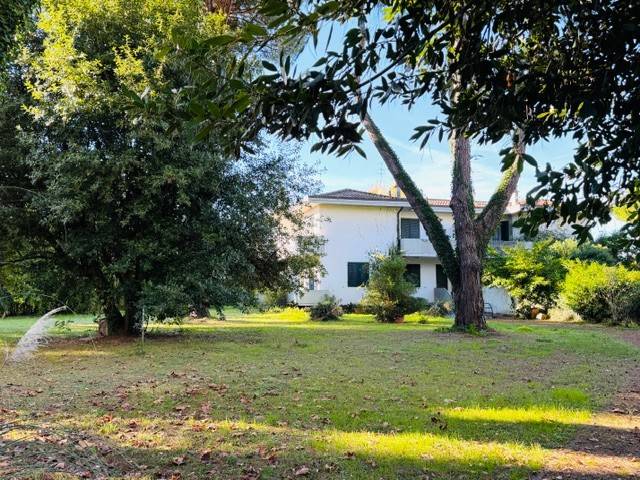 casa indipendente in vendita a Massa in zona Marina dei Ronchi