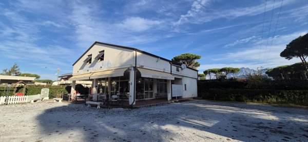 casa indipendente in vendita a Massa in zona Poveromo
