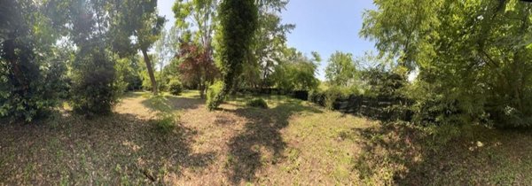 terreno agricolo in vendita a Massa in zona Marina dei Ronchi