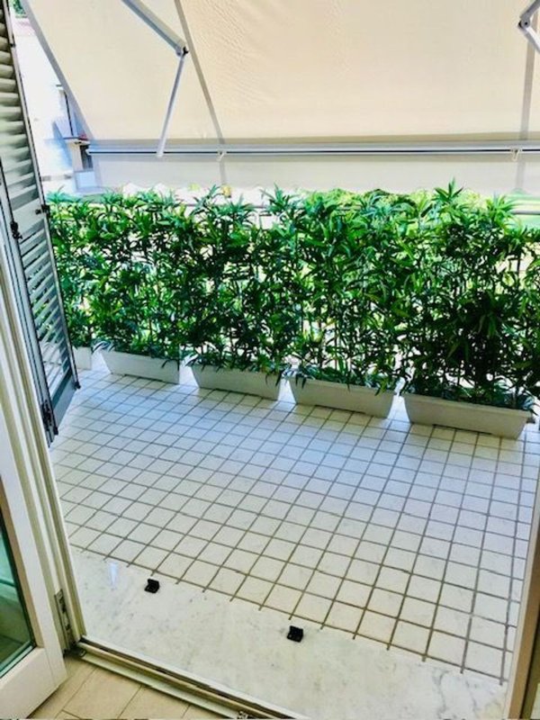 appartamento in vendita a Massa in zona Marina dei Ronchi