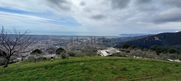 pentavano in vendita a Massa