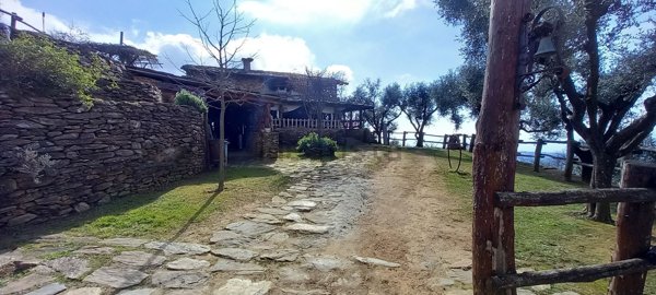 pentavano in vendita a Massa