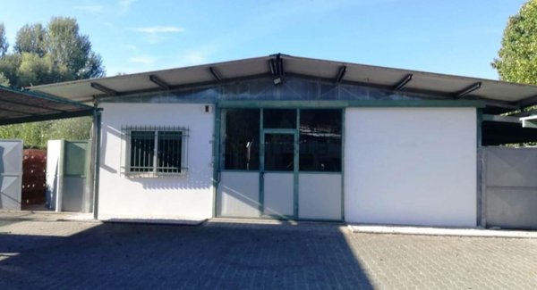 capannone in vendita a Massa in zona Marina dei Ronchi
