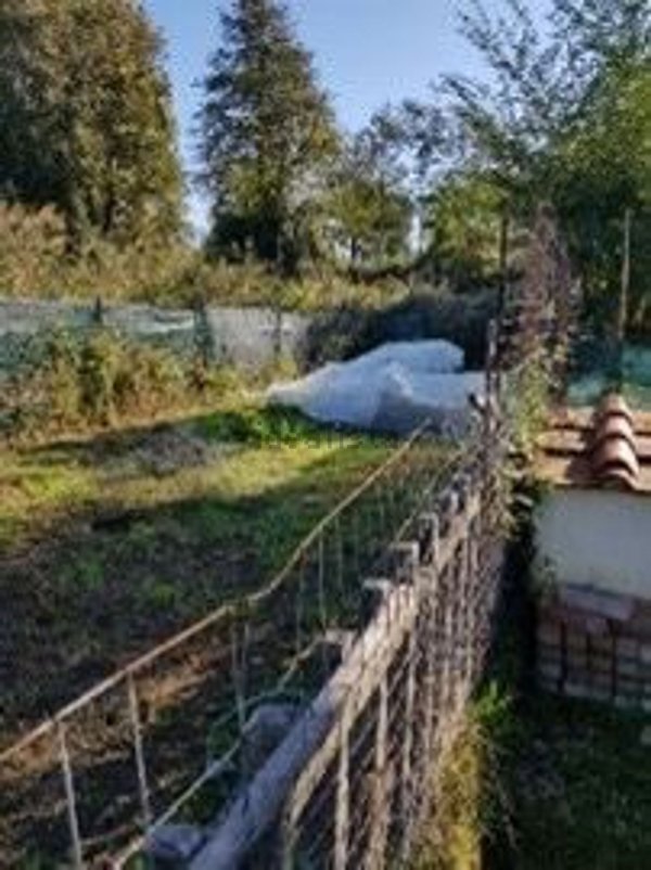 terreno agricolo in vendita a Massa in zona Marina di Massa