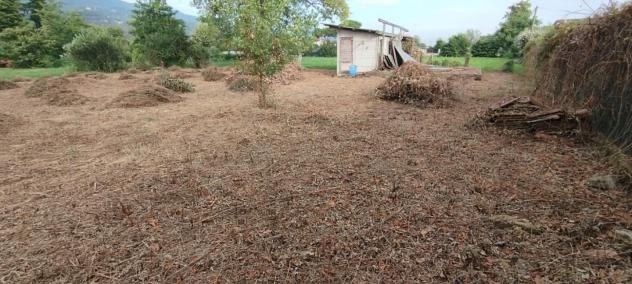 terreno agricolo in vendita a Massa