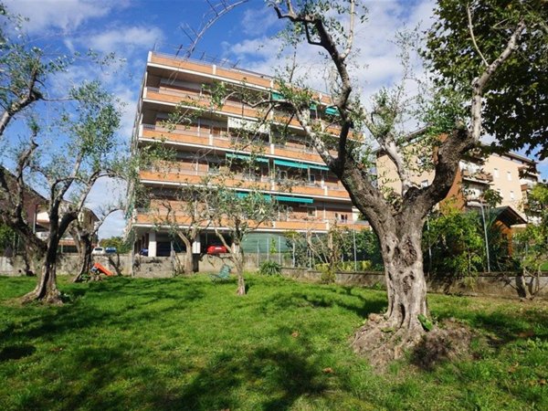 appartamento in vendita a Massa in zona Centro Storico