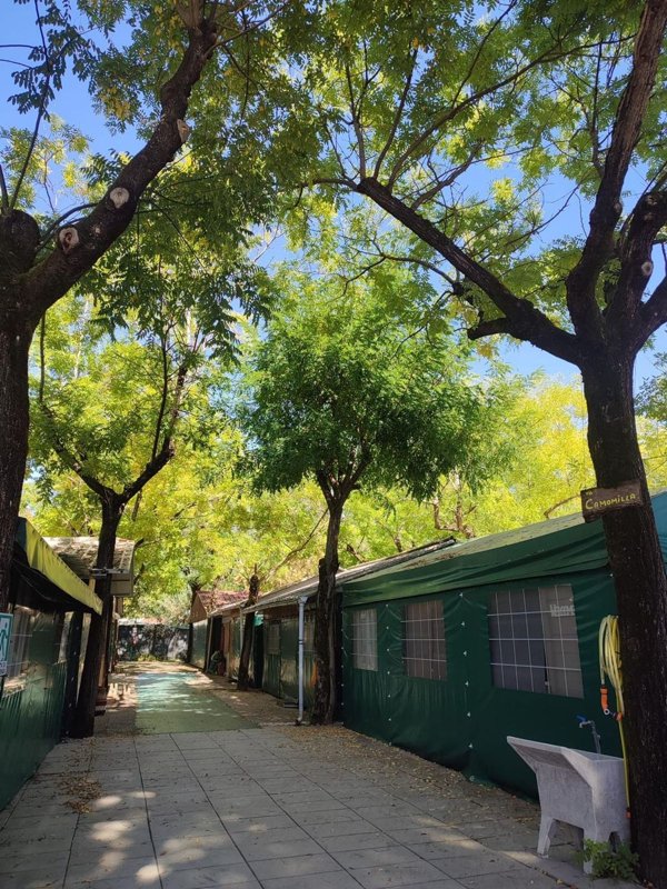 esavano in vendita a Massa in zona Marina di Massa