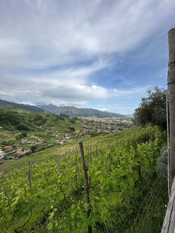 casa indipendente in vendita a Massa