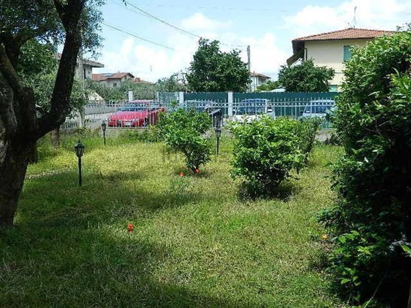 esavano in vendita a Massa