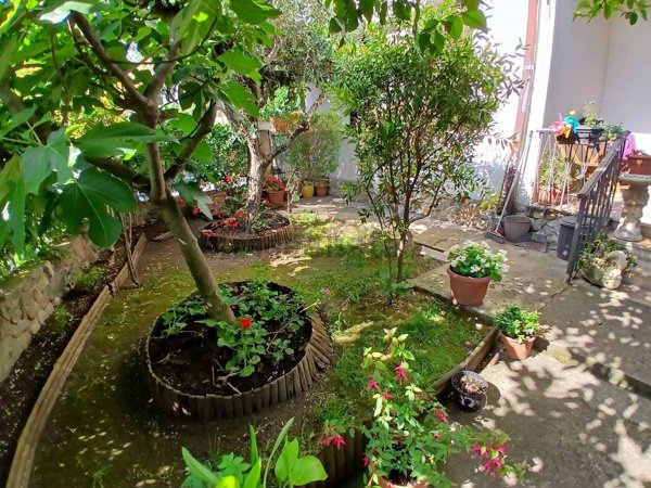 casa indipendente in vendita a Massa