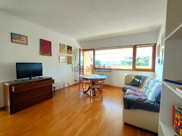 appartamento in vendita a Massa in zona Marina dei Ronchi