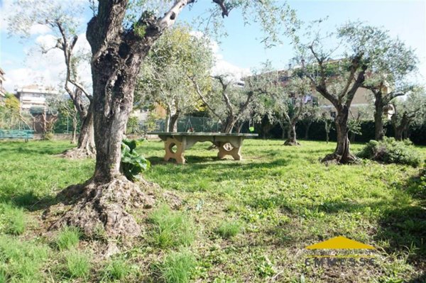 appartamento in vendita a Massa in zona Centro Storico