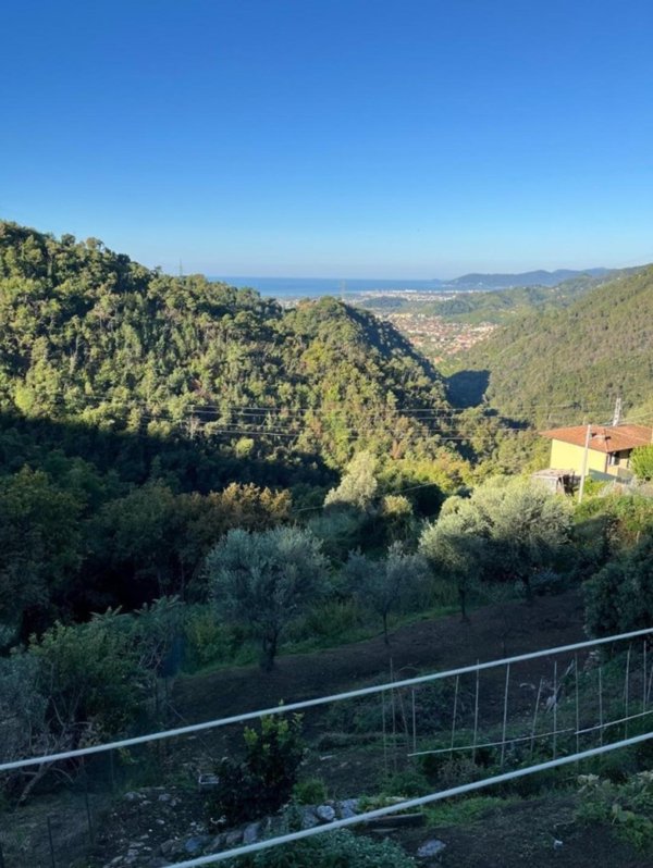 intera palazzina in vendita a Massa in zona Pariana