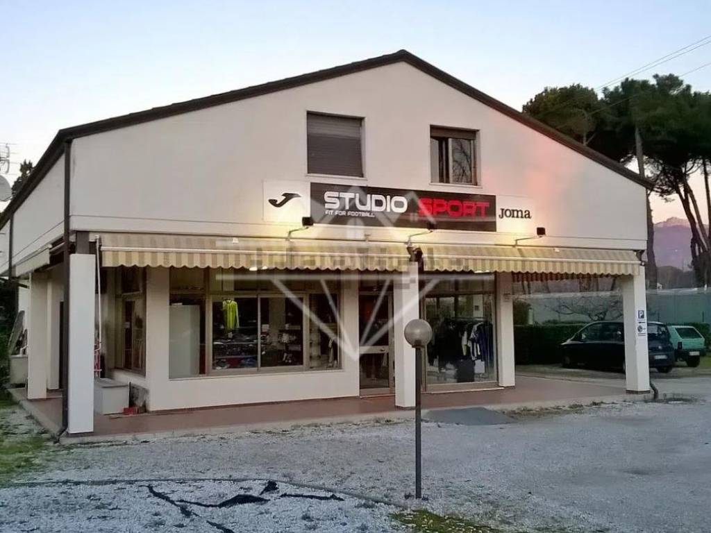 casa indipendente in vendita a Massa in zona Marina di Massa