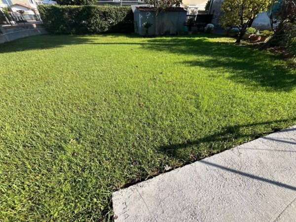 casa indipendente in vendita a Massa in zona Marina di Massa