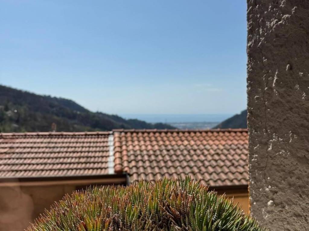 casa indipendente in vendita a Massa in zona Altagnana