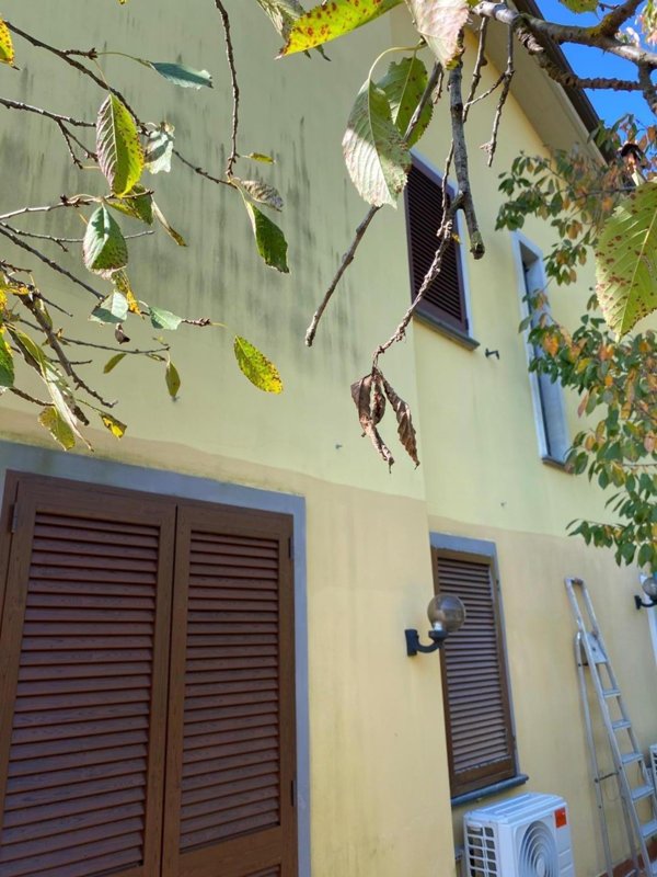 casa indipendente in vendita a Massa in zona Mirteto