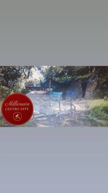 terreno agricolo in vendita a Massa in zona Centro Storico