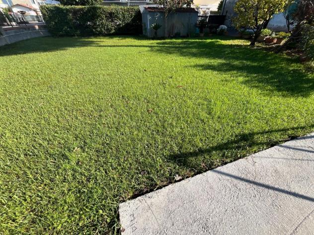 casa indipendente in vendita a Massa in zona Marina di Massa