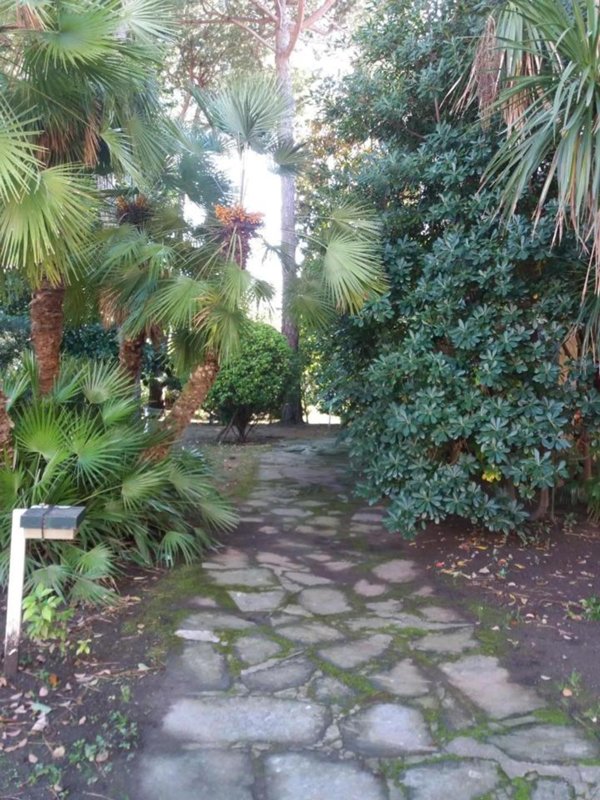 appartamento in vendita a Massa in zona Marina di Massa