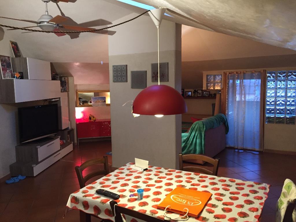 appartamento in vendita a Massa in zona Marina dei Ronchi