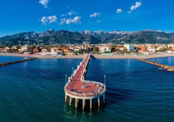 negozio in vendita a Massa