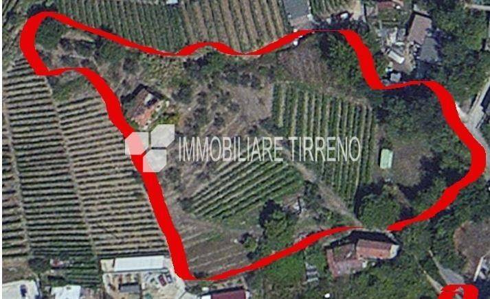 terreno agricolo in vendita a Massa in zona Romagnano